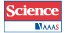 International science journal